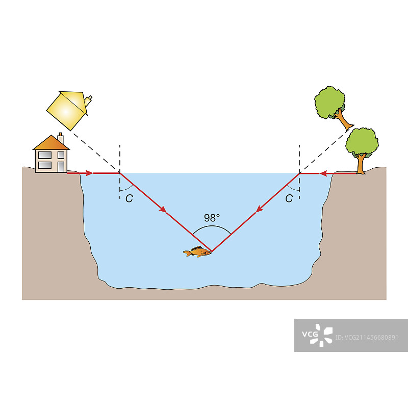 鱼眼视图，插图图片素材