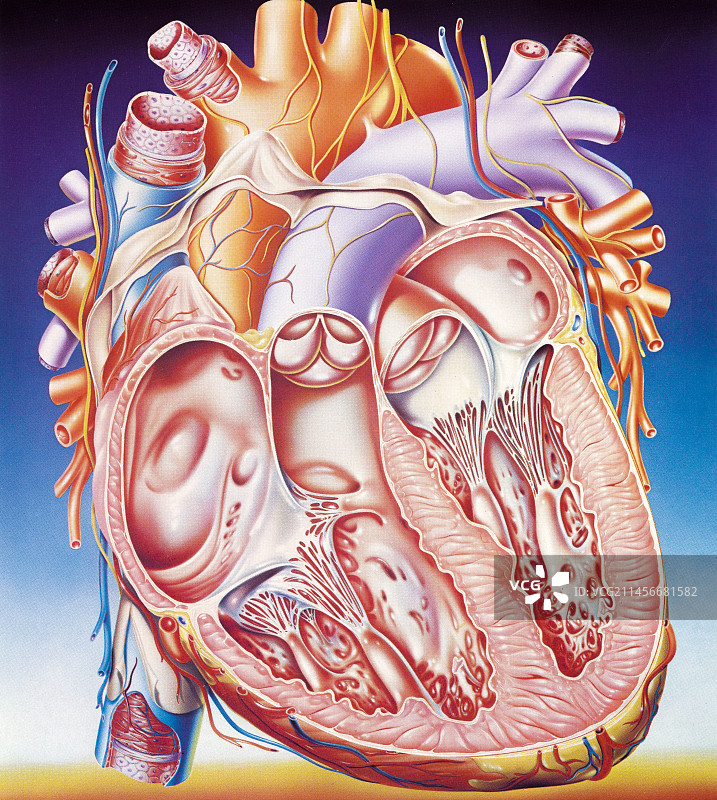 心,说明图片素材