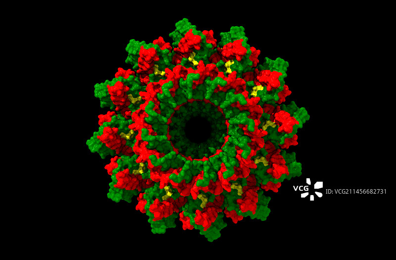 T4噬菌体gp20端口蛋白计算机模型图片素材