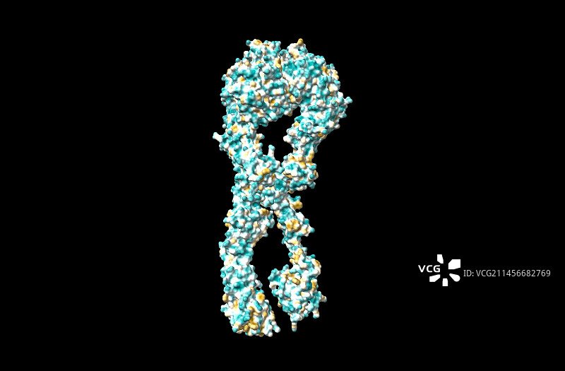 整合素a4b7结构电脑模型图片素材