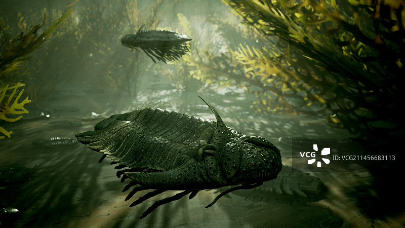 古生代海洋中的三叶虫插图图片素材