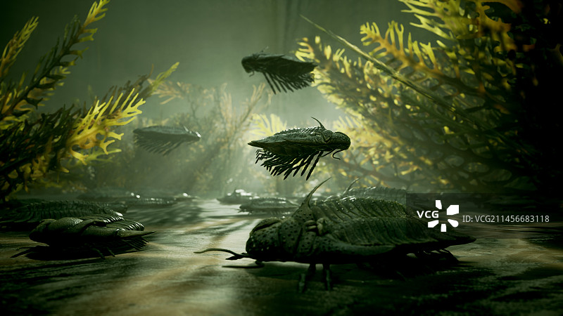 古生代海洋中的三叶虫插图图片素材