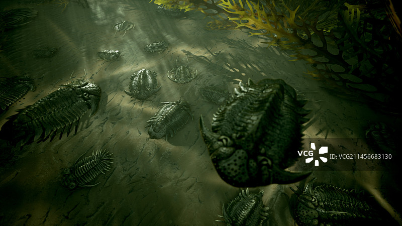 古生代海洋中的三叶虫插图图片素材