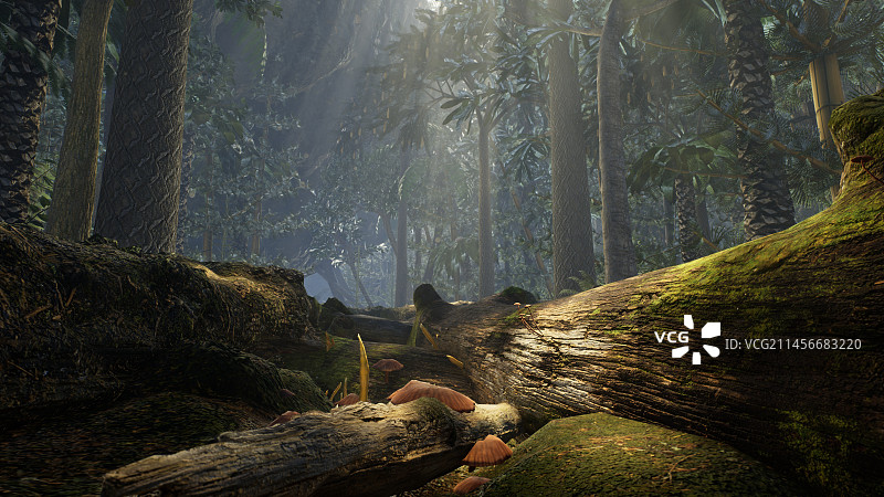 二叠纪森林插图图片素材