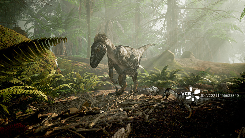 迅猛龙巢穴与幼崽插画图片素材