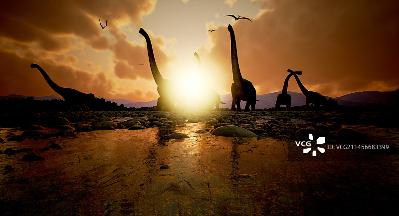 腕龙恐龙群插图图片素材