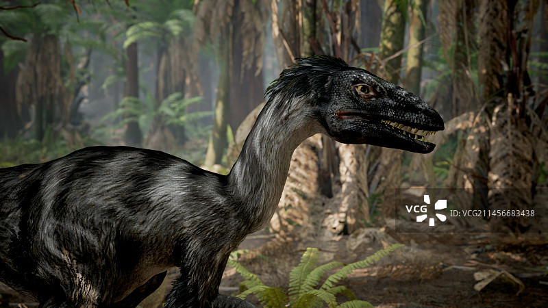 恐爪龙恐龙插图图片素材