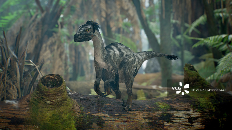 恐爪龙恐龙插图图片素材