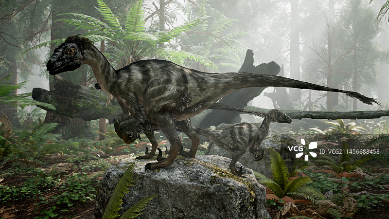 恐爪龙恐龙插图图片素材