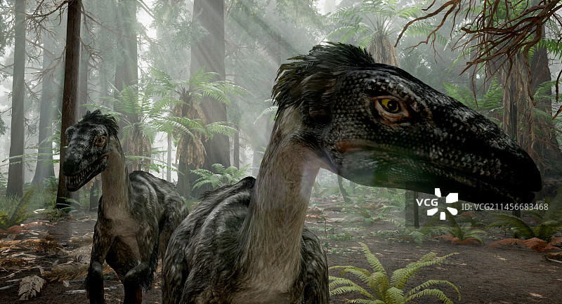 恐爪龙恐龙插图图片素材