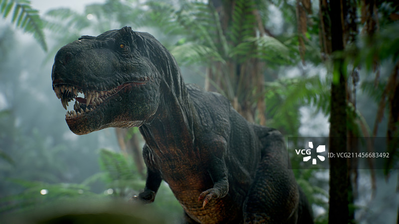 霸王龙插画图片素材