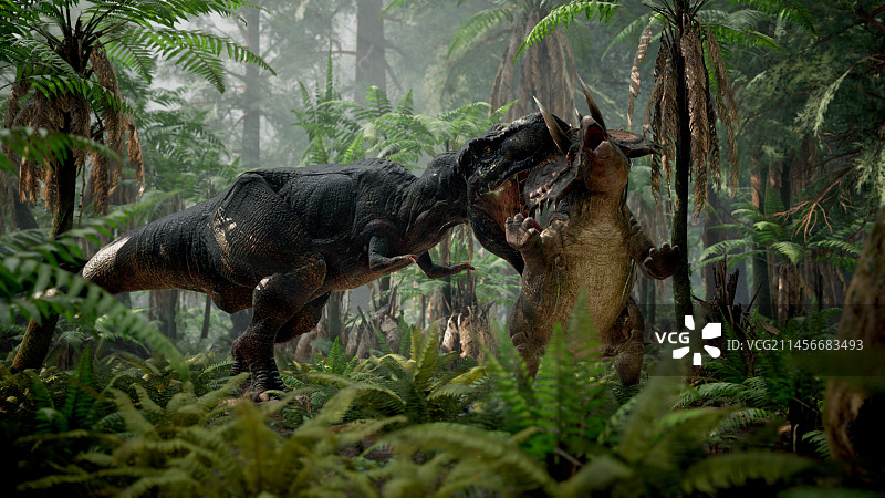 霸王龙大战三角龙插画图片素材