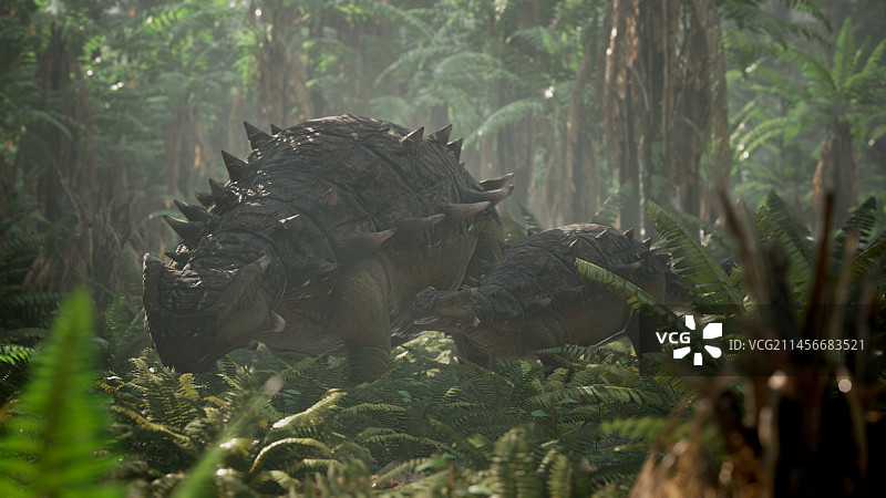 甲龙和幼崽插画图片素材