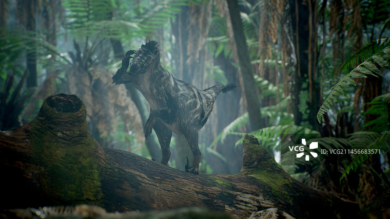 恐爪龙恐龙插图图片素材