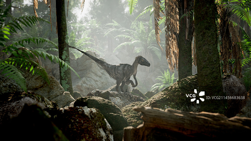 恐爪龙恐龙插图图片素材