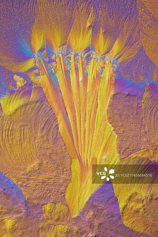 硫酸金属和对苯二酚的显微照片图片素材