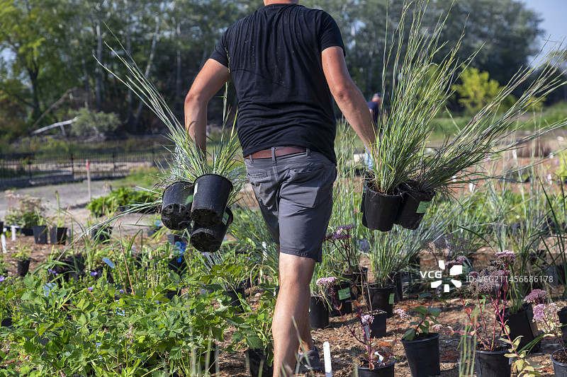 美国密歇根州底特律公共花园种植图片素材