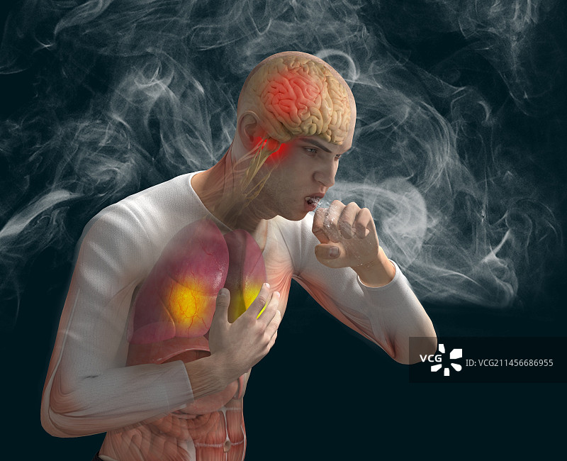 肺部刺激物图示图片素材