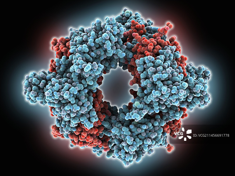 SARS冠状病毒非结构蛋白插图图片素材