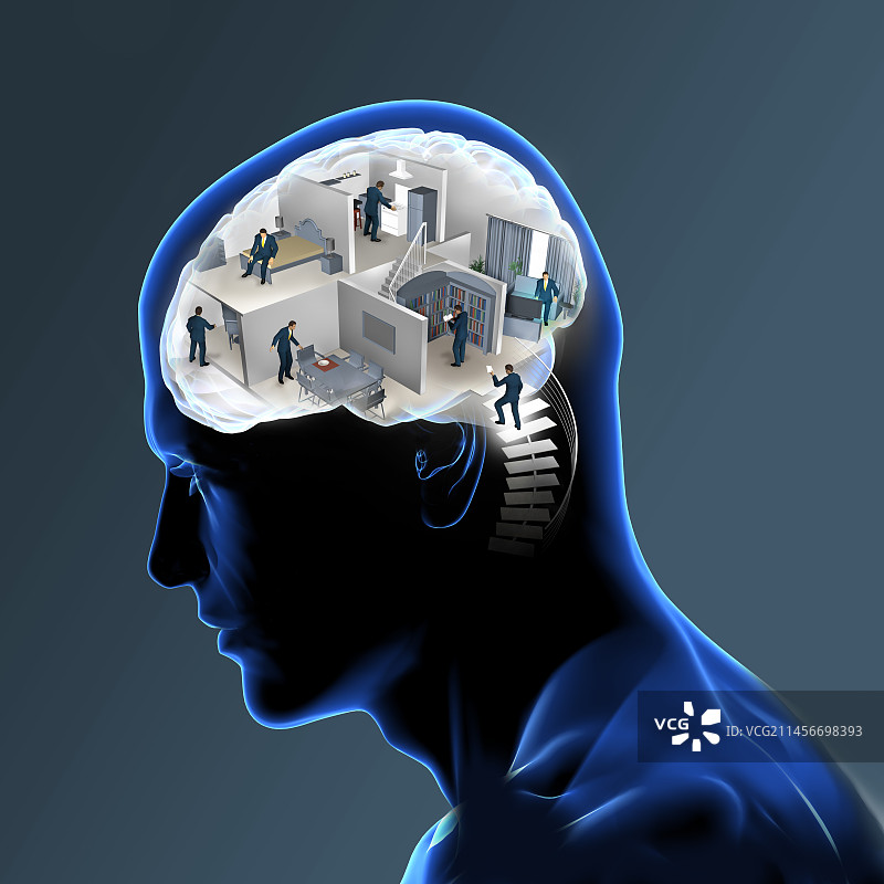 大脑区域概念图图片素材