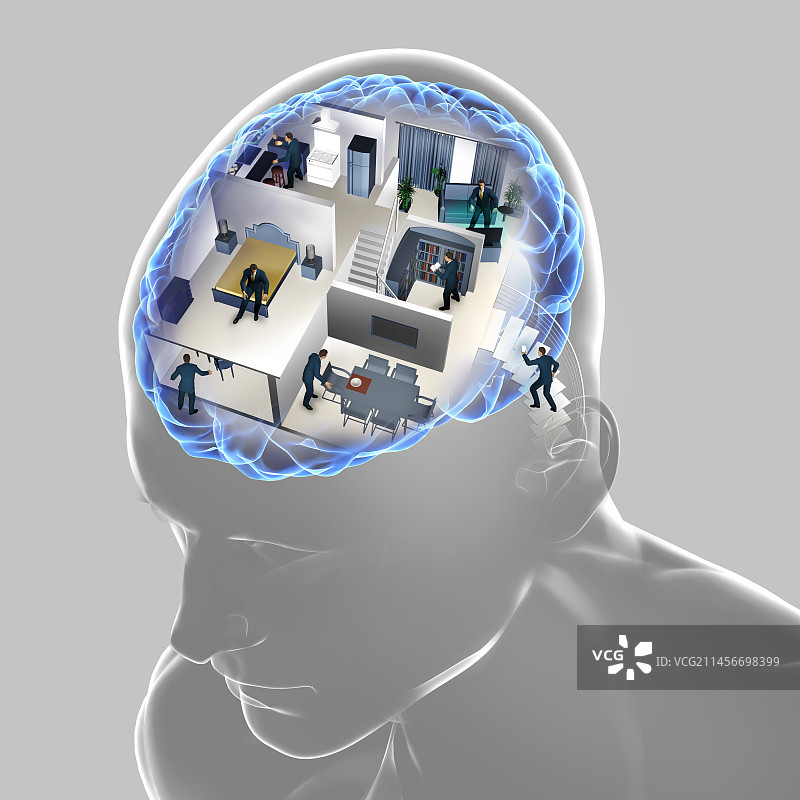 大脑区域概念图图片素材