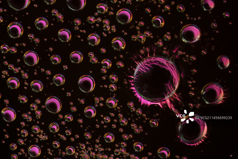 味精和甜味剂偏振光显微照片图片素材