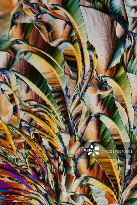 β-丙氨酸偏振光显微照片图片素材