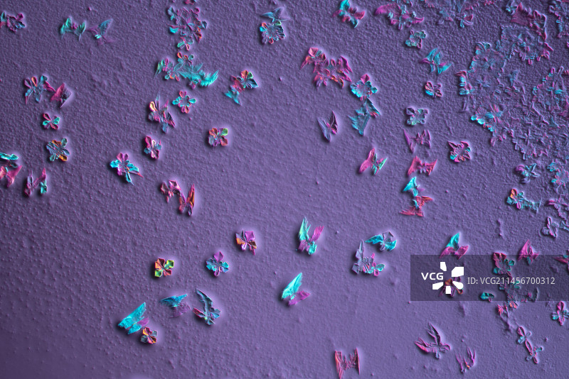 偏光显微照片下的混合盐晶体图片素材