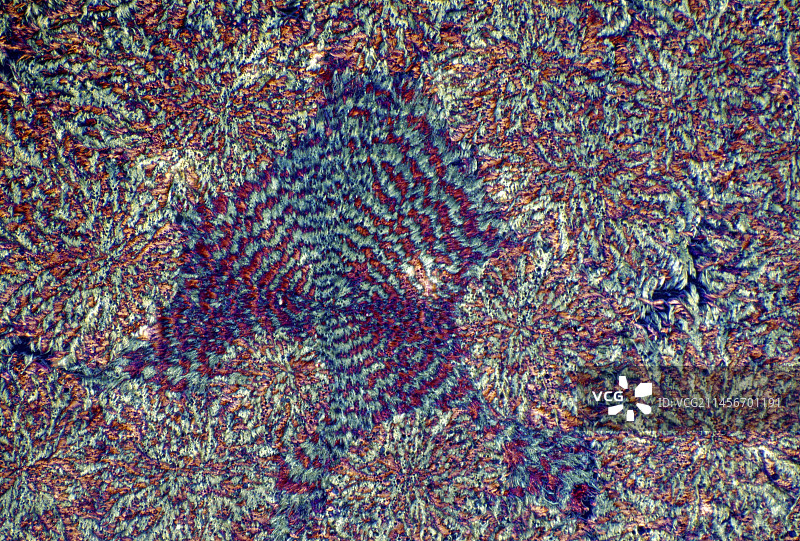 乳糖晶体偏振光显微照片图片素材