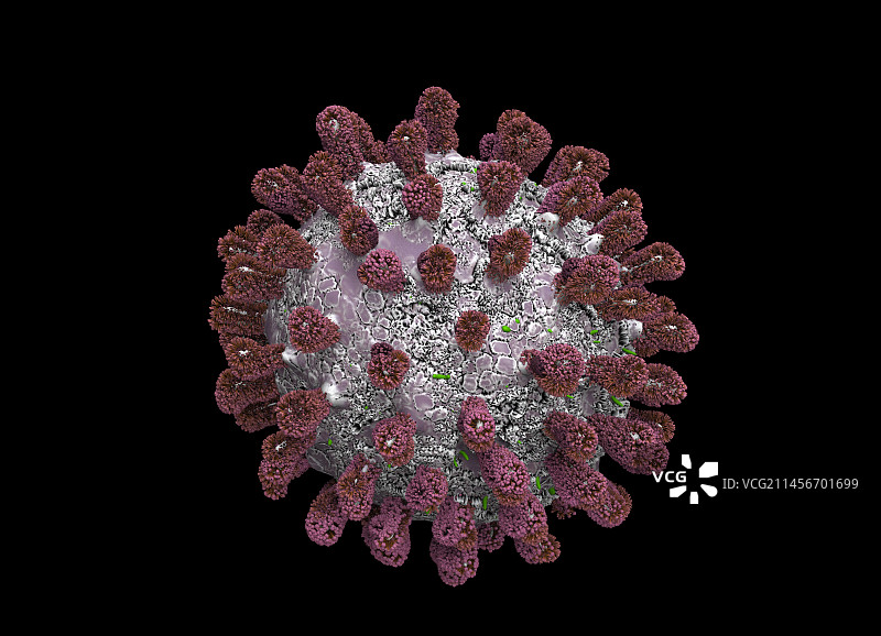 新冠病毒颗粒插画图片素材