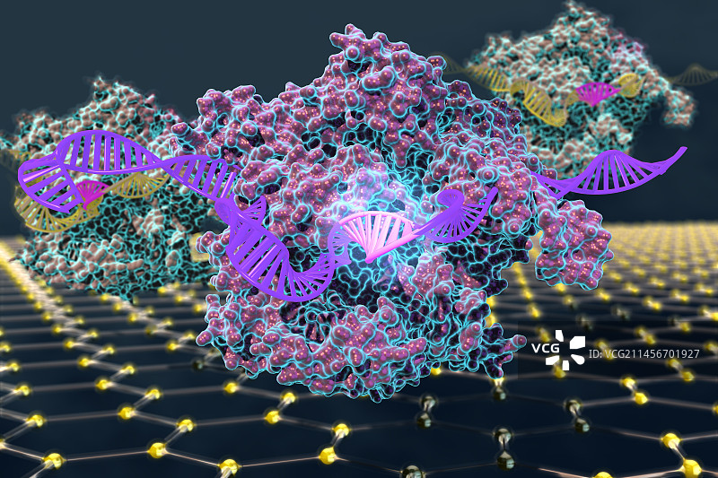 CRISPR芯片生物传感器插图图片素材