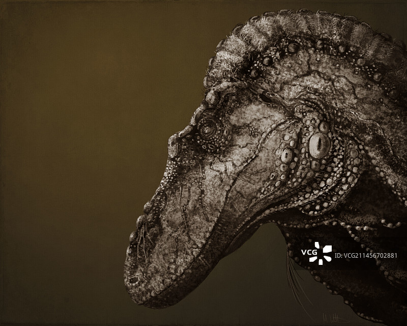 蛇发女怪龙恐龙头插画图片素材