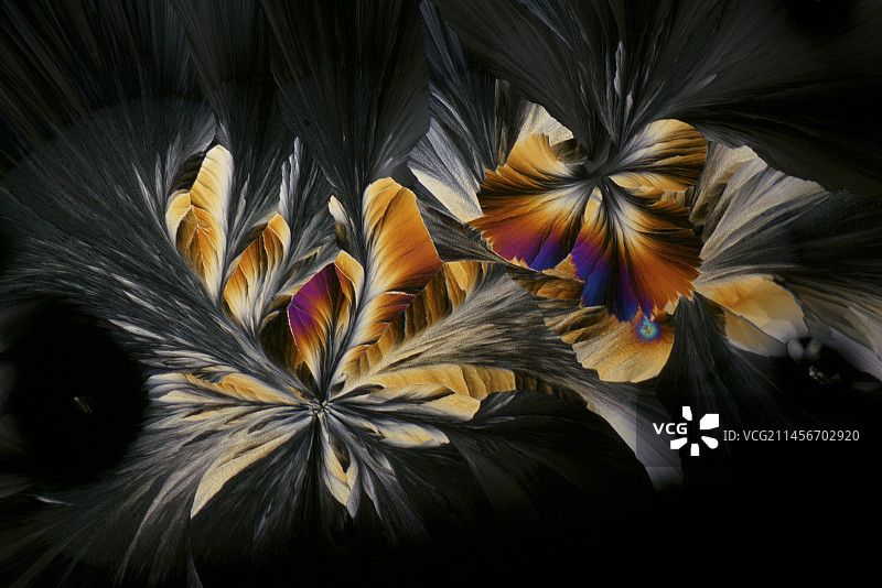 氨基酸和无机盐偏振光显微照片图片素材