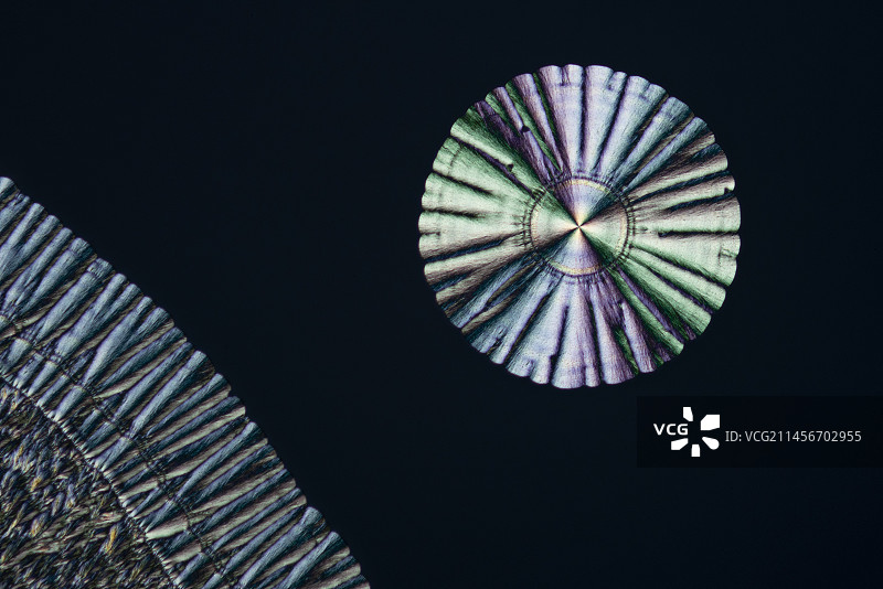 维生素C偏振光显微照片图片素材