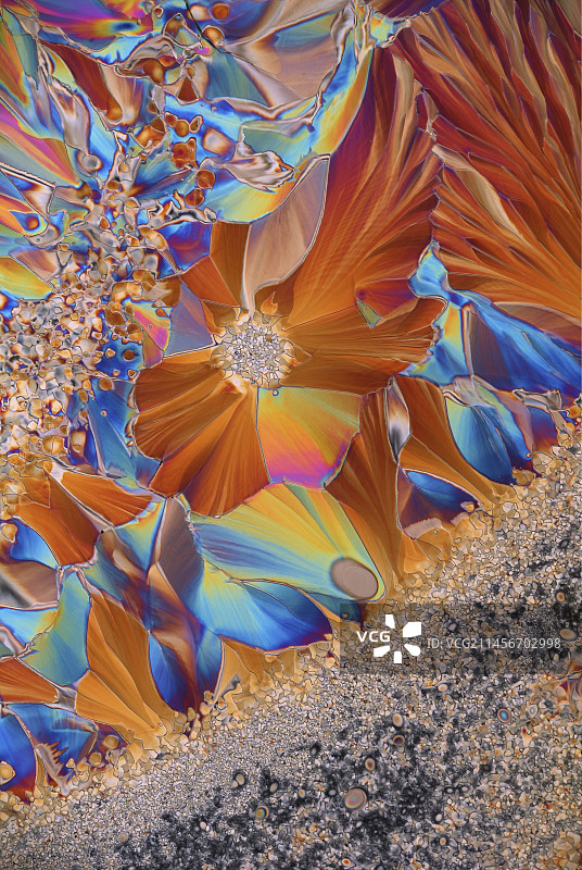 多巴胺，光学显微照片图片素材