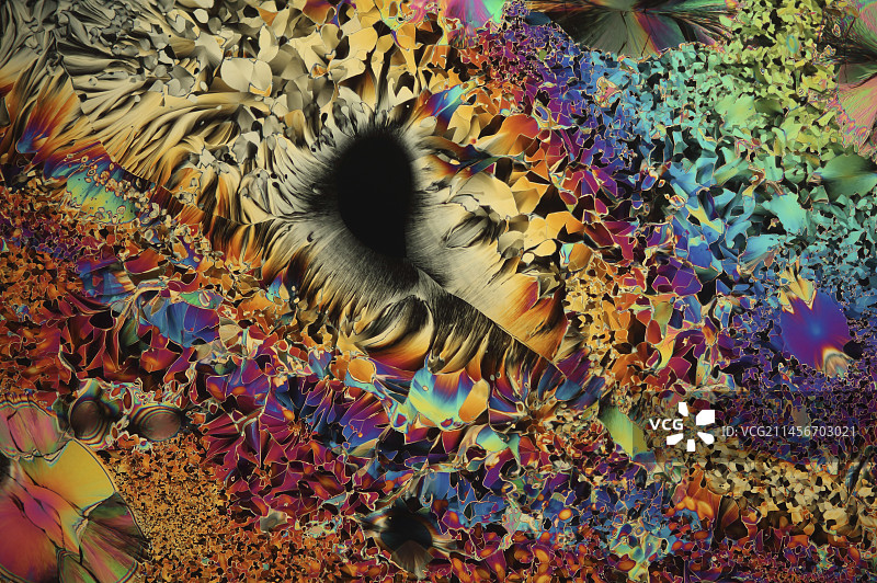 多巴胺，光学显微照片图片素材