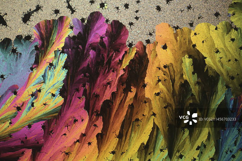 烟酰胺偏振光显微照片图片素材