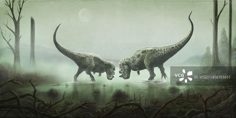 两只角鼻龙恐龙搏斗插画图片素材