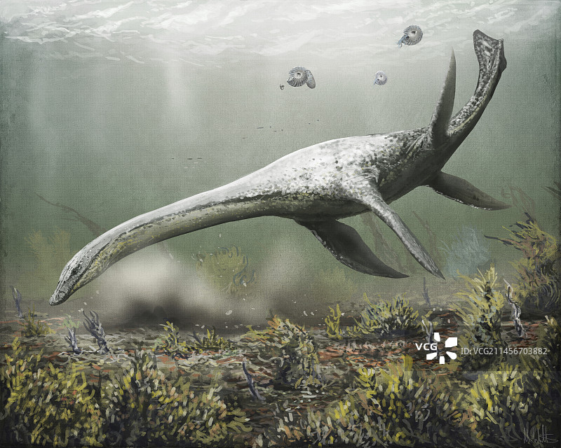 阿滕伯勒龙蛇颈龙插图图片素材