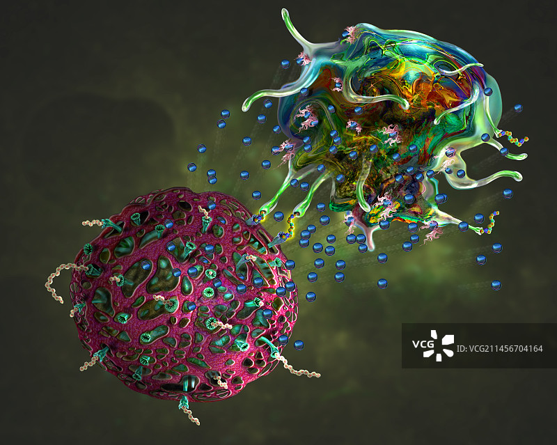 T细胞攻击癌细胞插图图片素材