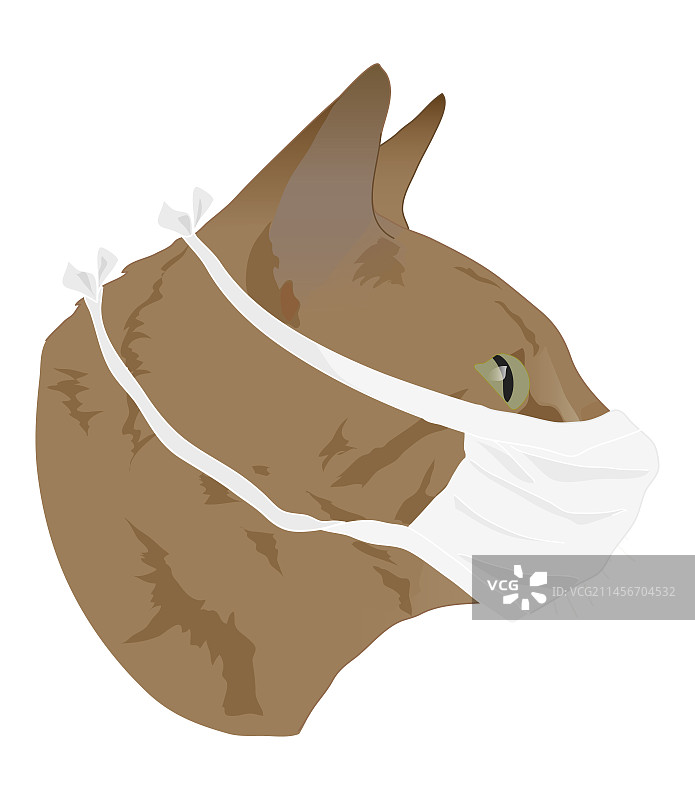 戴口罩的猫插画图片素材