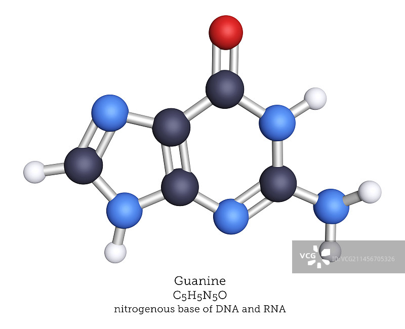 鸟嘌呤含氮碱基的分子模型图片素材