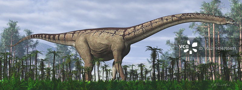 富塔隆柯龙恐龙插画图片素材