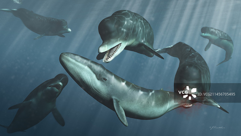 史前鲸鱼攻击场景图片素材
