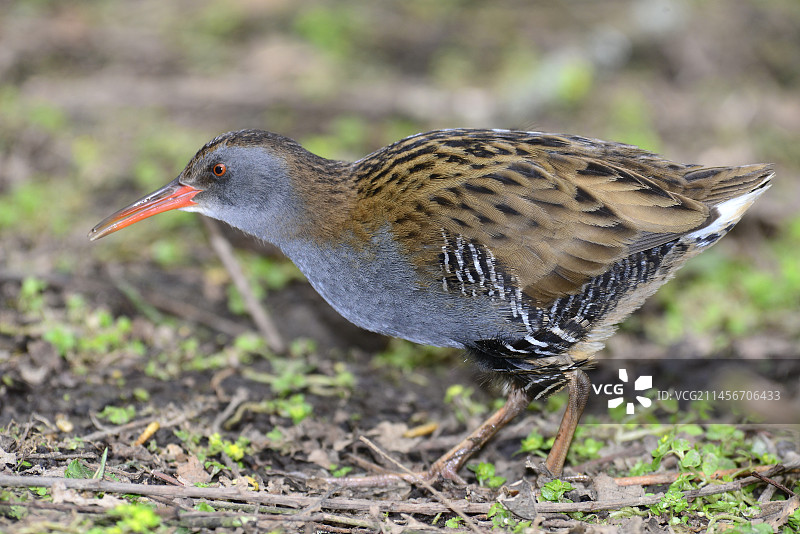 水 rail图片素材