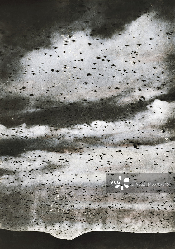 1915年巴勒斯坦的蝗灾图片素材