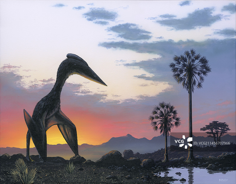 翼龙破晓时分插图图片素材