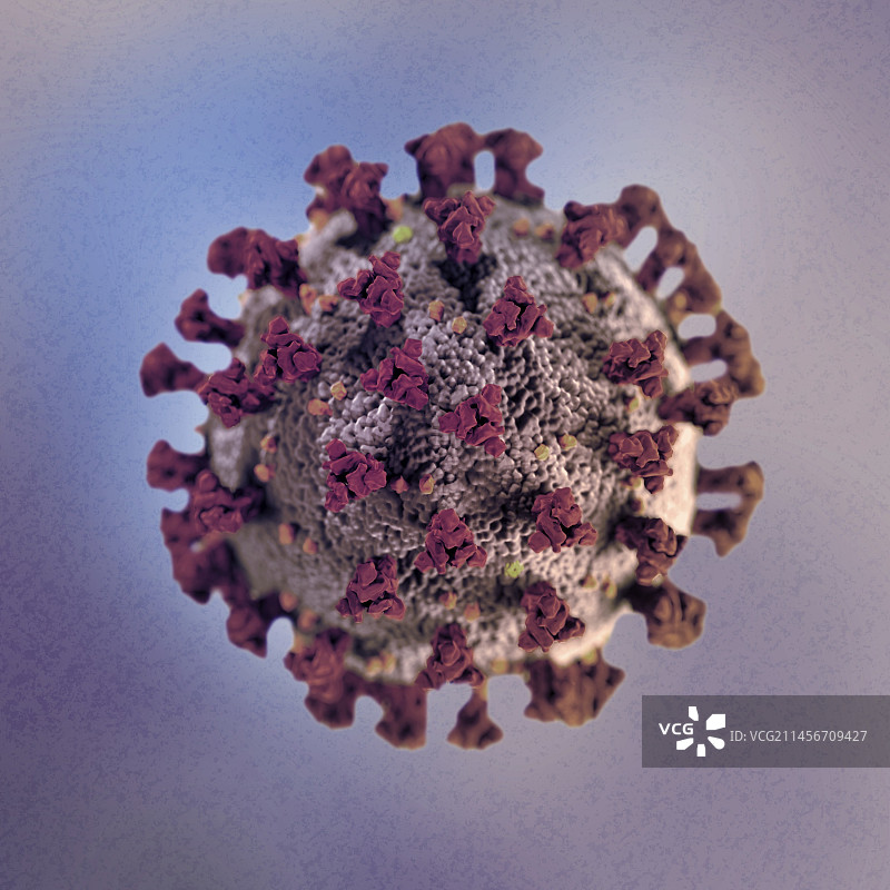 冠状病毒颗粒插图图片素材