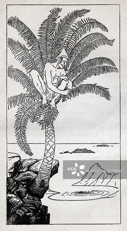 犀牛是如何得到它的皮肤的插画图片素材