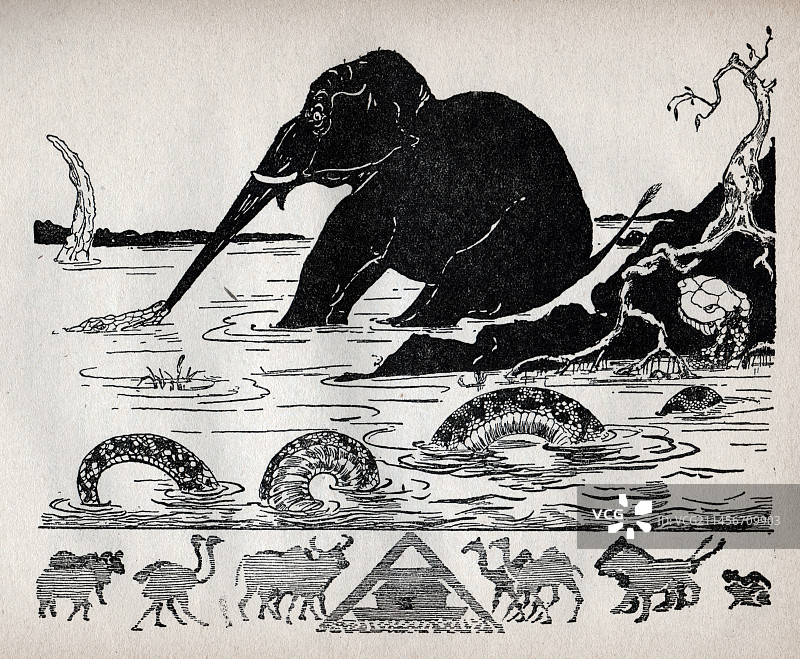 小象插画图片素材